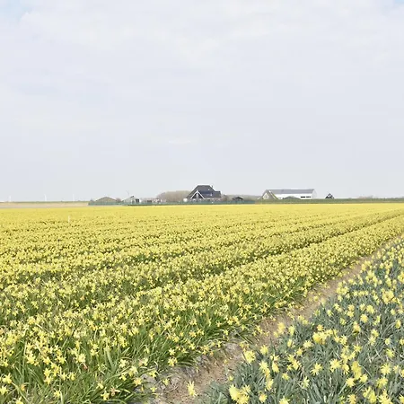 Near Groote Keeten Beach, Cleaning Included * Callantsoog